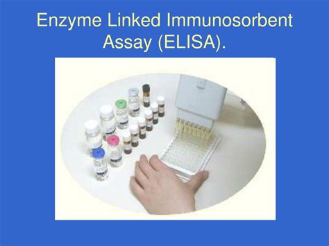 elisa kit wells|what are elisa assays.